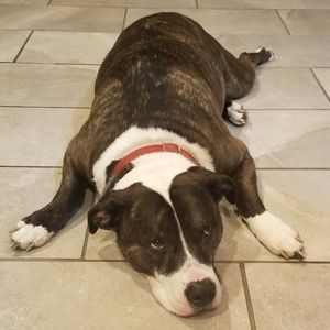 Meet your Posher, Mary